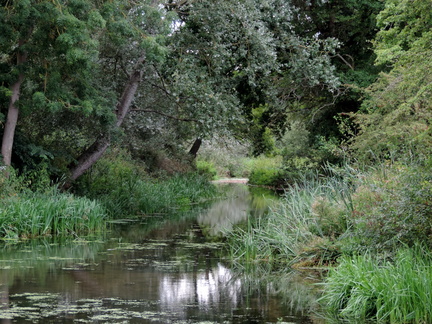 Along the river
