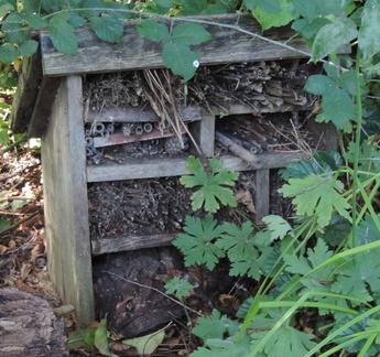 Insect hotel