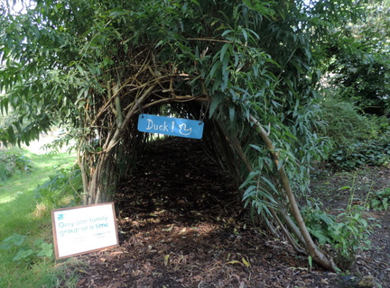 Tunnel