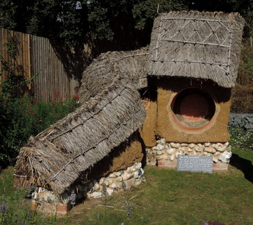 Wall for Wildlife
