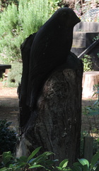 Bird sculpture