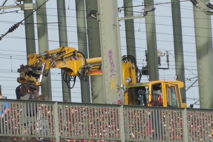 Crane