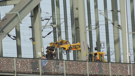 Crane