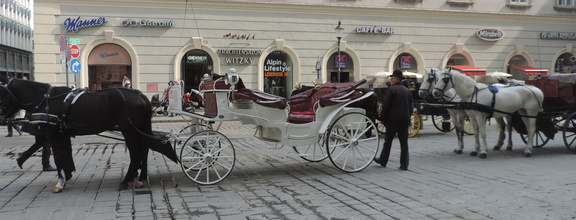 Horses