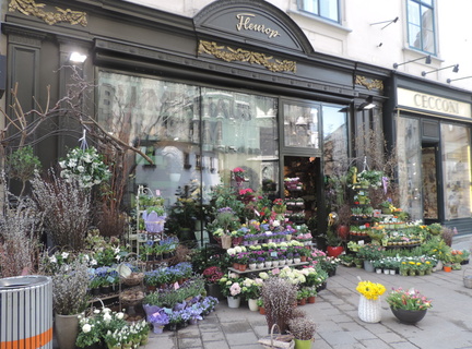 Florist