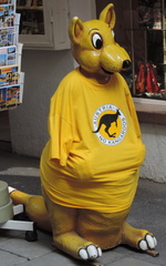 Kangaroo