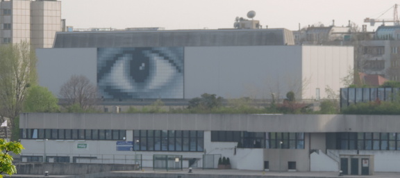 Eye