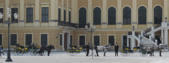 Horses