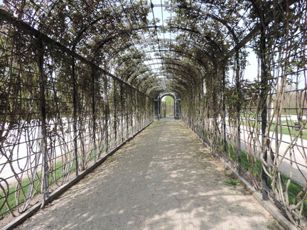 Canopy