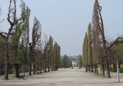 Avenue