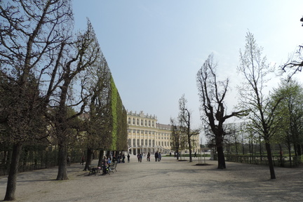Avenue leading to Palace