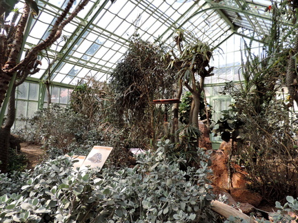 Desert garden