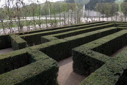 Maze