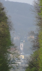 Through the trees