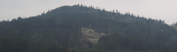 Wooded hill