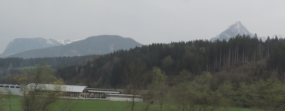 Woods and mountains