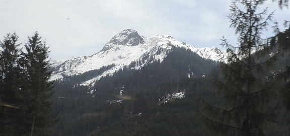 Peak through the trees
