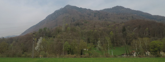 Wooded mountain