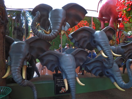 Elephants