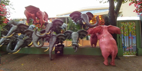 Elephants