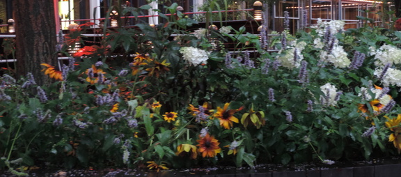 Flower bed