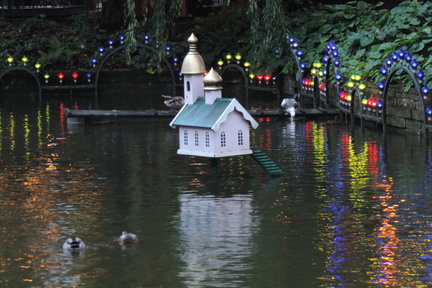 Duck house