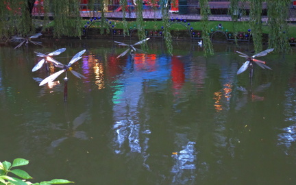 Dragonflies