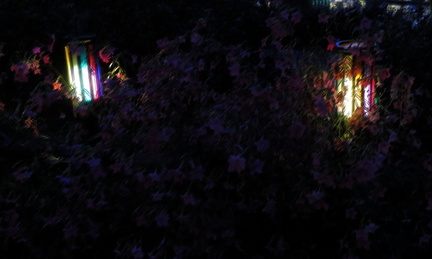 Lights
