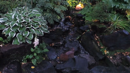 Waterfall