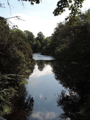Moat