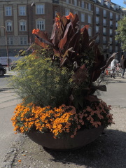 Pot