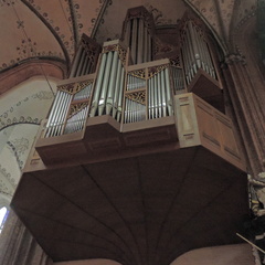 Organ pipes