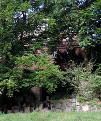 Building through the trees