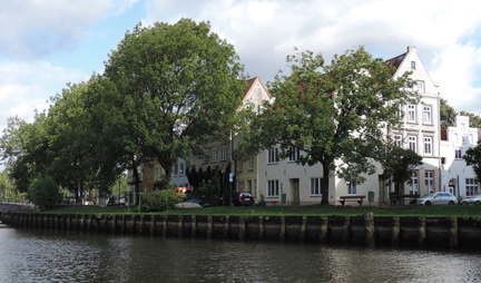 River bank