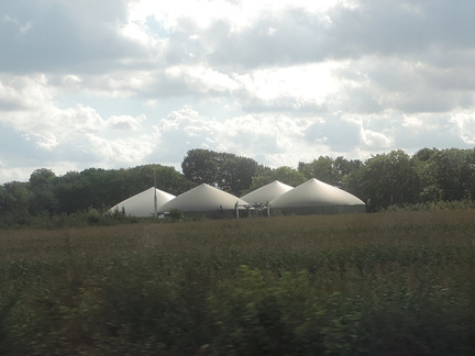 Domes