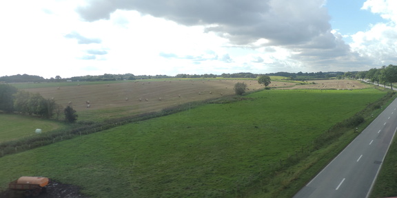 Fields