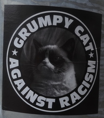 Grumpy Cat