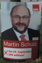Stoned politician