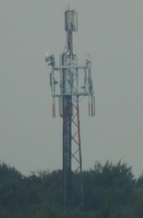 Mast