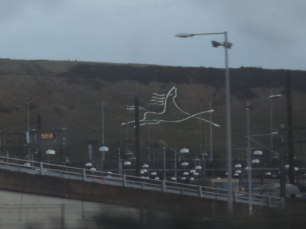 White horse