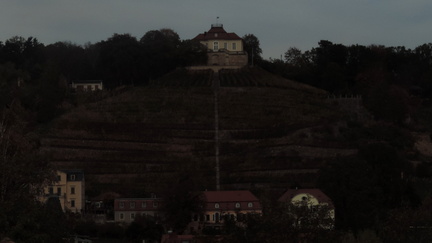 Vineyards
