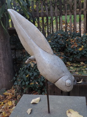 Tadpole