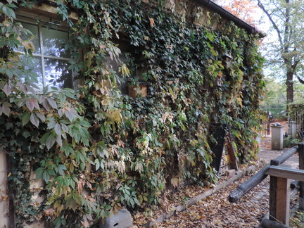 Wall