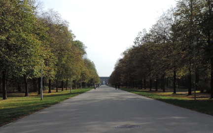 Avenue
