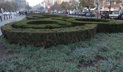 Hedges