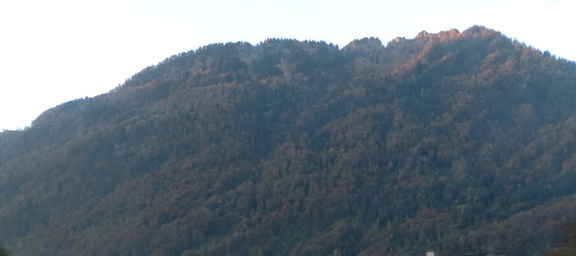 Wooded peak