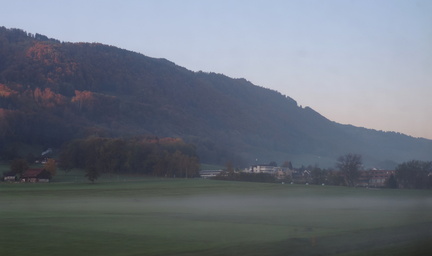 Misty landscape
