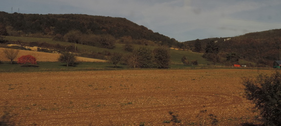 Fields