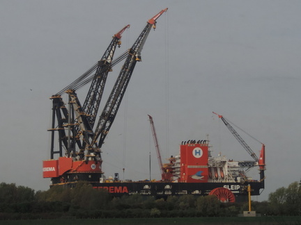 Cranes