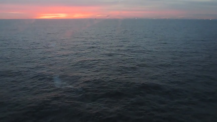Waves